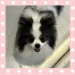 IMG_1073.jpeg