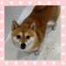 IMG_4678.jpeg