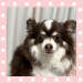 IMG_0608.jpeg