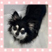IMG_3766.jpeg