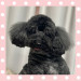 IMG_7652.jpeg