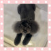 IMG_8129.jpeg