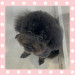 IMG_9153.jpeg