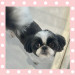 IMG_4306.jpeg