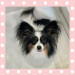 IMG_2866.jpeg