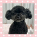 IMG_3262.jpeg