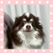IMG_4921.jpeg