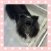 IMG_7076.jpeg