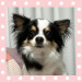 IMG_7859.jpeg