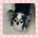 IMG_9053.jpeg