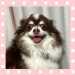IMG_7822.jpeg