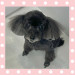 IMG_9378.jpeg