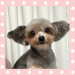 IMG_3989.jpeg