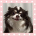 IMG_4049.jpeg