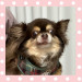 IMG_0659.jpeg