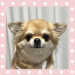 IMG_3482.jpeg