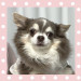 IMG_4537.jpeg