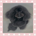 IMG_7820.jpeg
