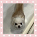 IMG_0645.jpeg