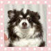 IMG_4484.jpeg