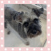 IMG_9848.jpeg