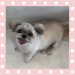 IMG_0739.jpeg