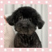 IMG_1582.jpeg