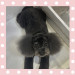 IMG_1602.jpeg
