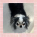 IMG_8568.jpeg