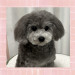 IMG_1901.jpeg