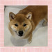 IMG_3193.jpeg