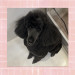 IMG_7134.jpeg