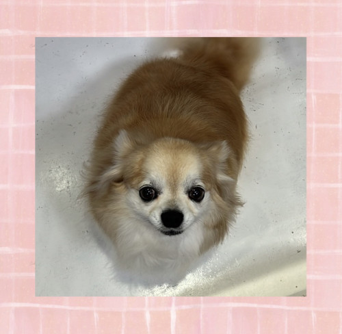 IMG_7142.jpeg