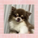 IMG_8338.jpeg