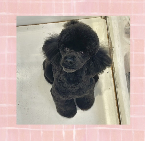 IMG_1023.jpeg
