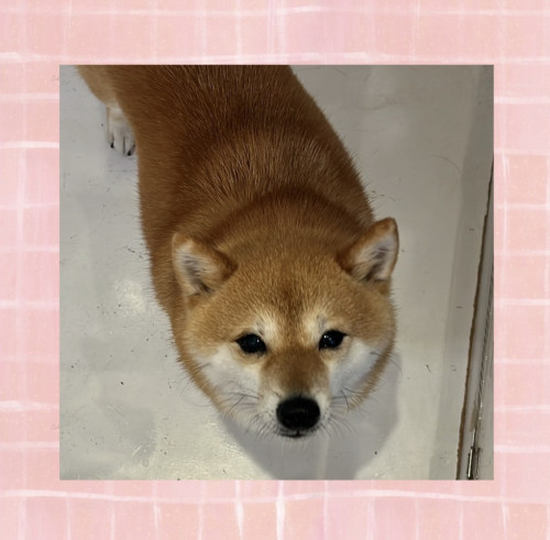 IMG_2610.jpeg