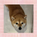 IMG_2610.jpeg