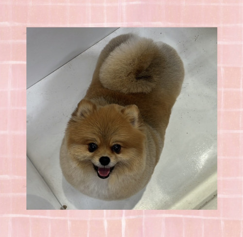 IMG_3377.jpeg