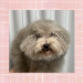 IMG_3384.jpeg