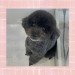 IMG_8586.jpeg