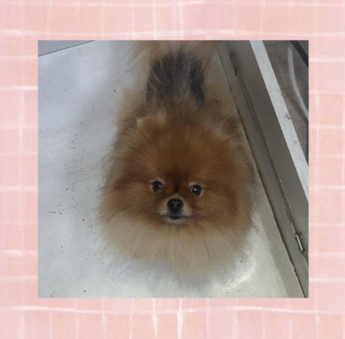 IMG_1551.jpeg