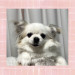 IMG_1553.jpeg