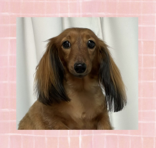 IMG_1561.jpeg