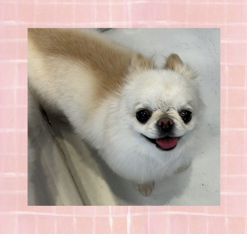 IMG_1564.jpeg