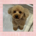 IMG_5956.jpeg