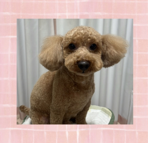 IMG_6663.jpeg