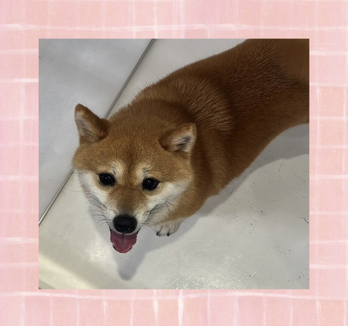 IMG_0850.jpeg