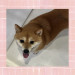 IMG_0850.jpeg