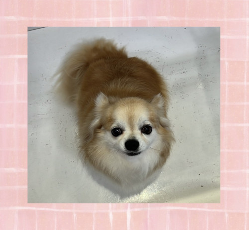IMG_2257.jpeg