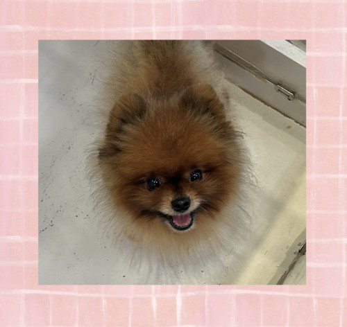 IMG_2202.jpeg